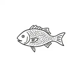 fish on a bicylce