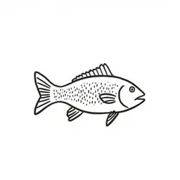 fish on a bicylce