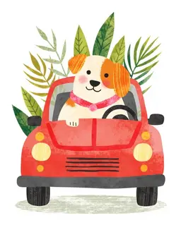 A dog driver