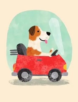 A dog driver
