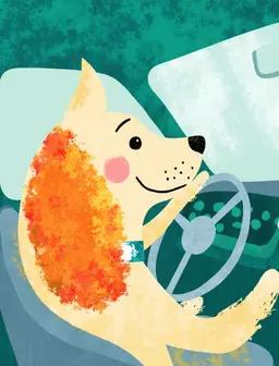 A dog driver