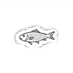 fish on a bicylce