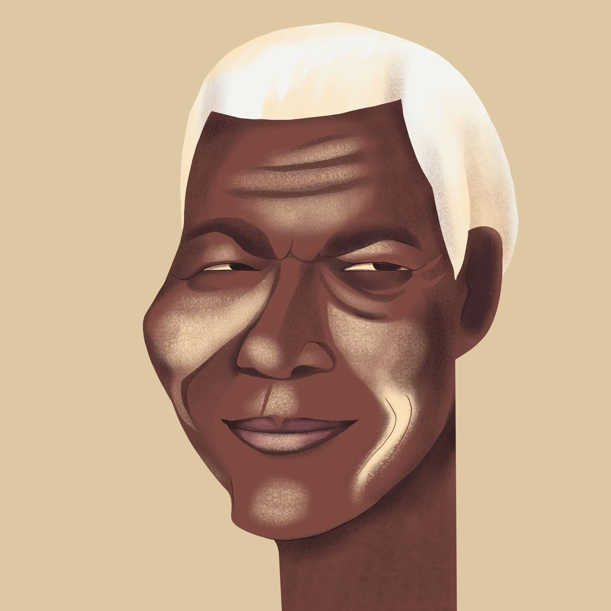 Image from the training dataset for the "Radiant Charisma" model