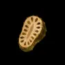 Image from the training dataset for the "Strange botanical elements" model