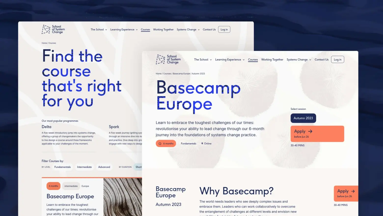 The School of System Change website designed by heylow.world.