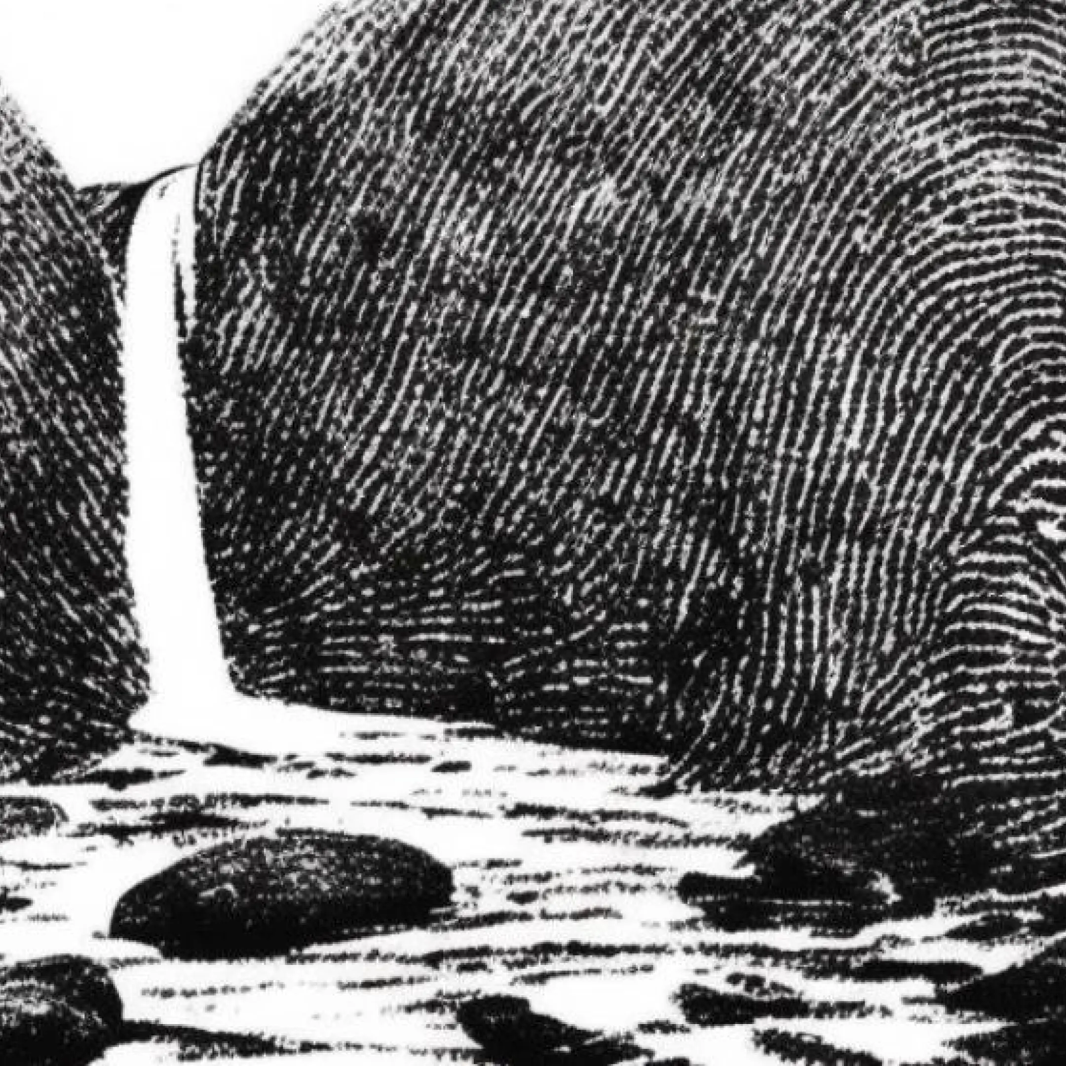 Recipe one: How to train an AI model using fingerprints