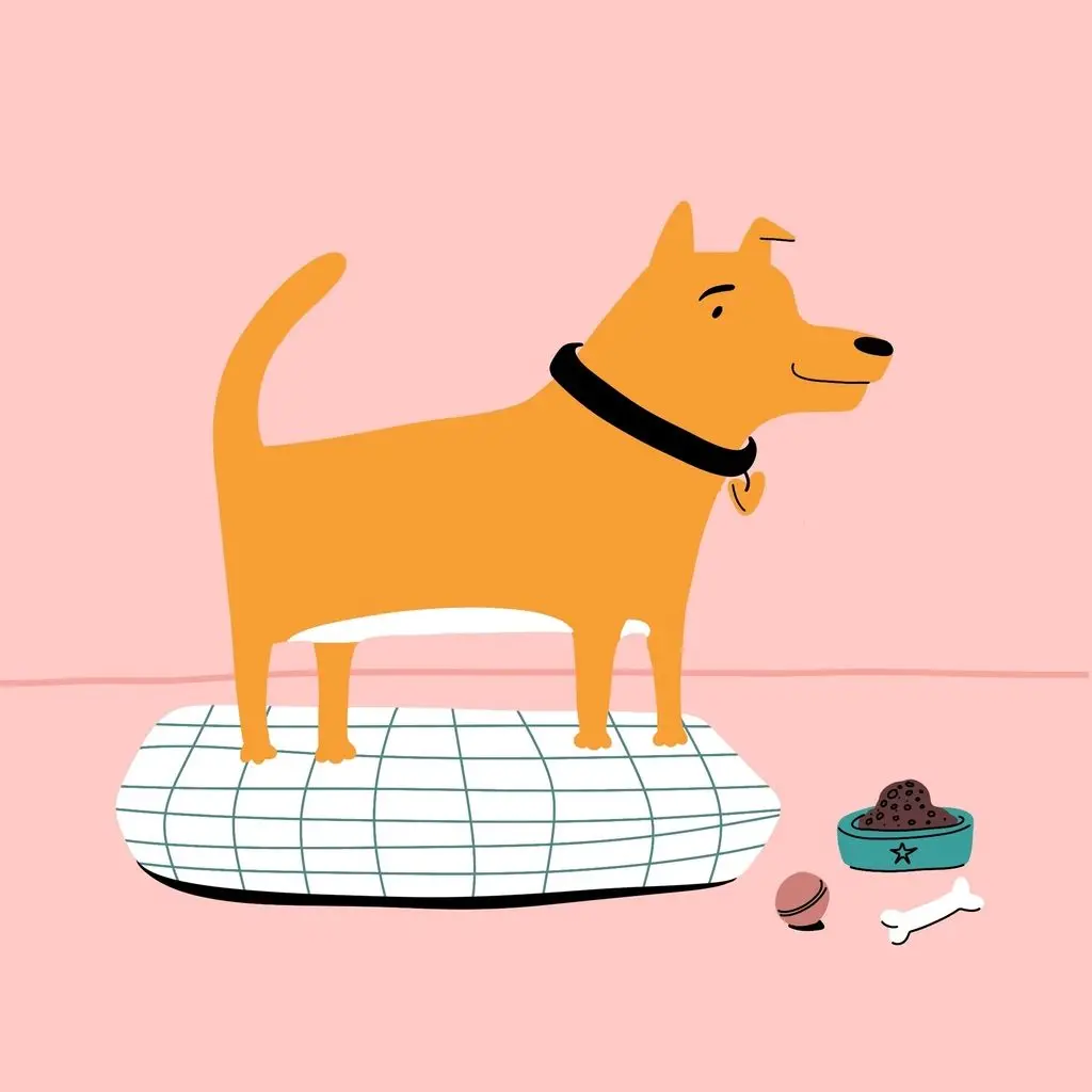 Image from the training dataset for the "Playful Minimalism" model
