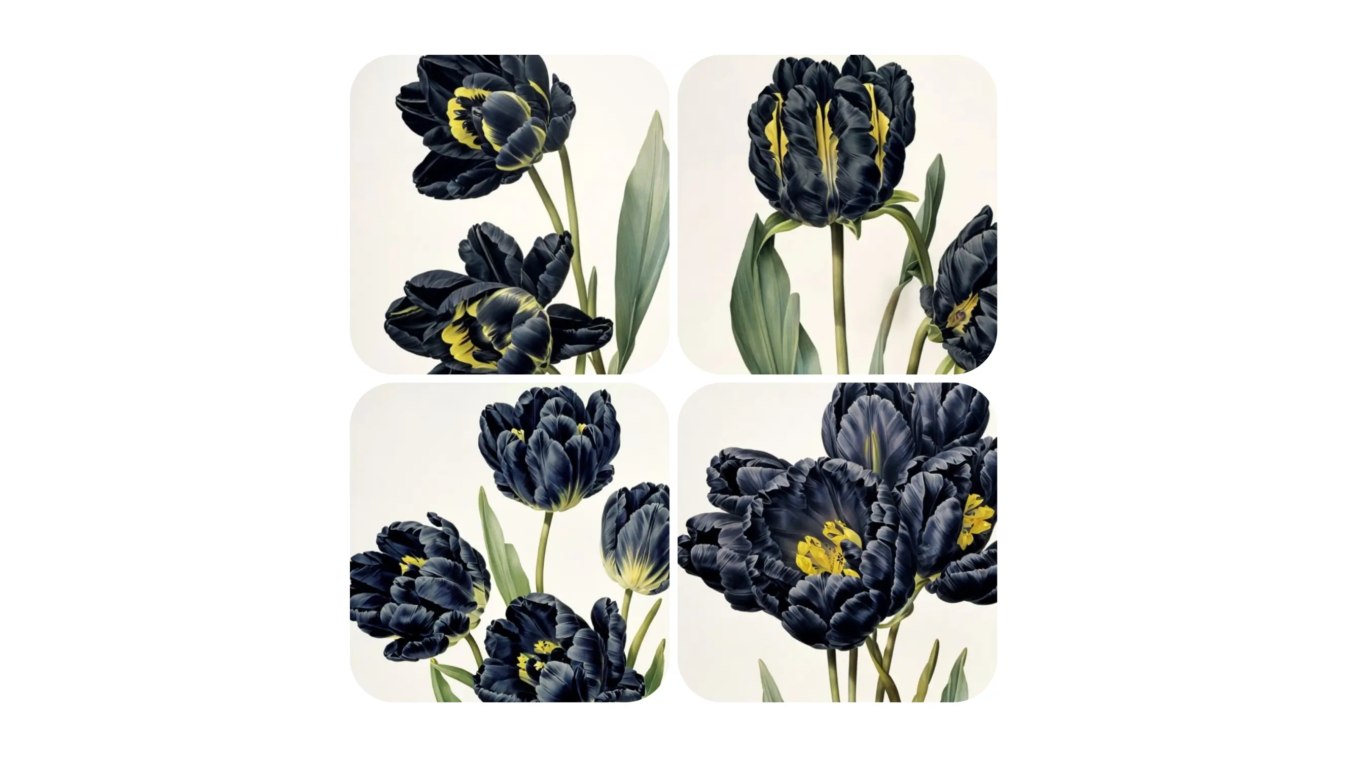 October updates: 4 images per 1 generation, favourite models
