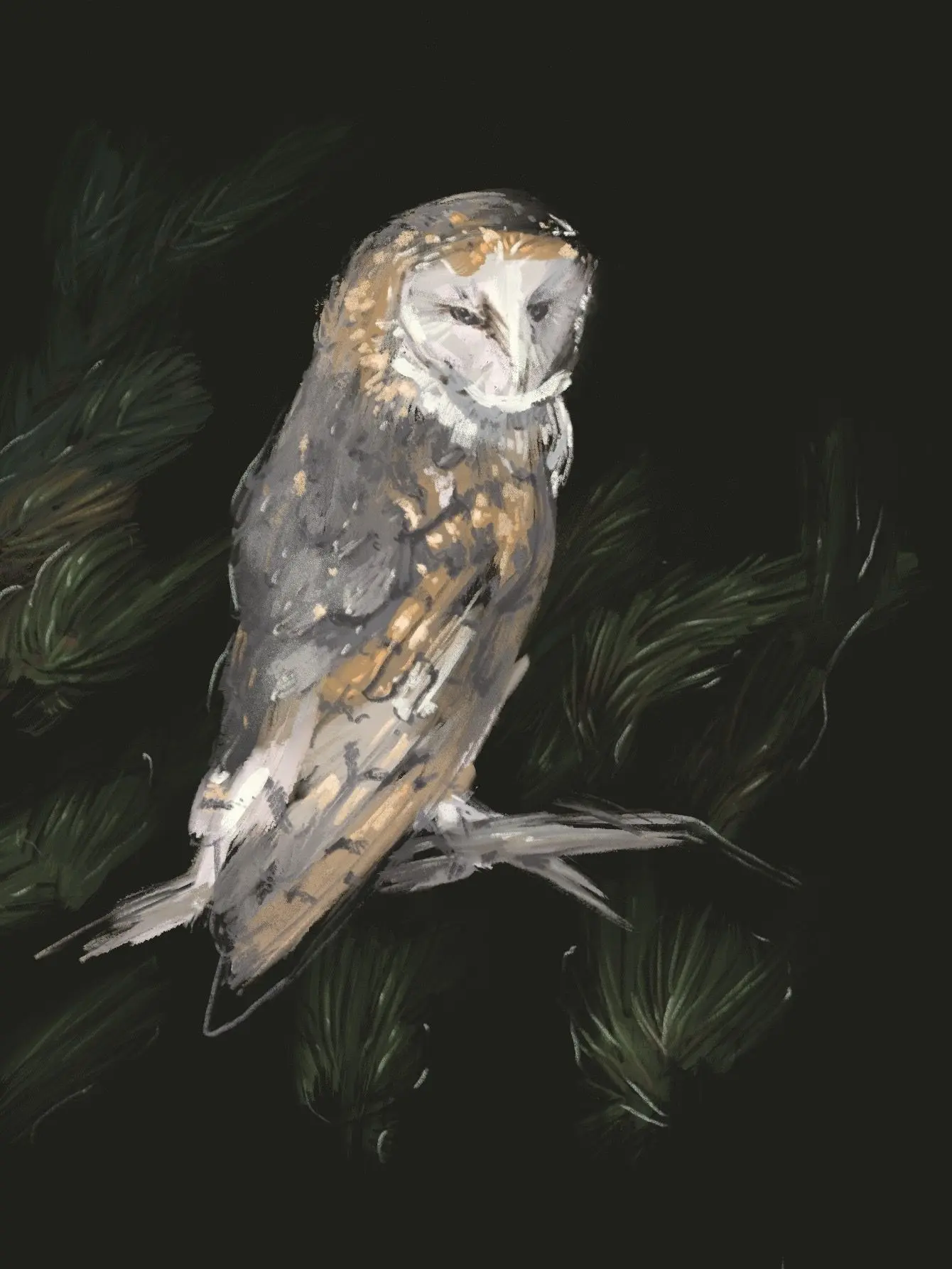 Image from the training dataset for the "Wild Elegance" model