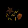 Image from the training dataset for the "Strange botanical elements" model