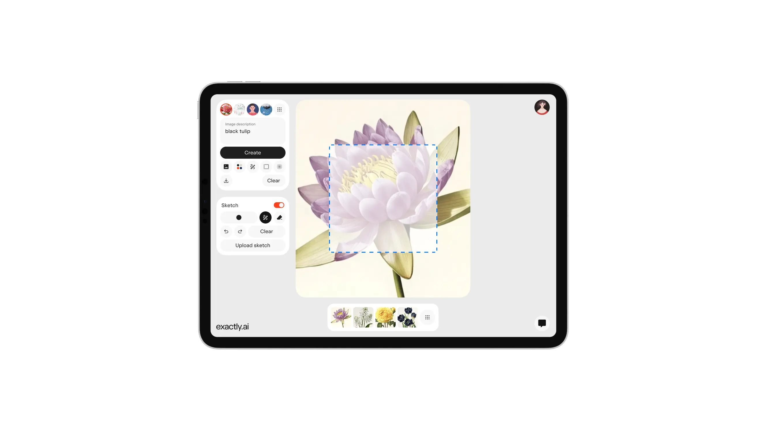 New features: edit area and eraser