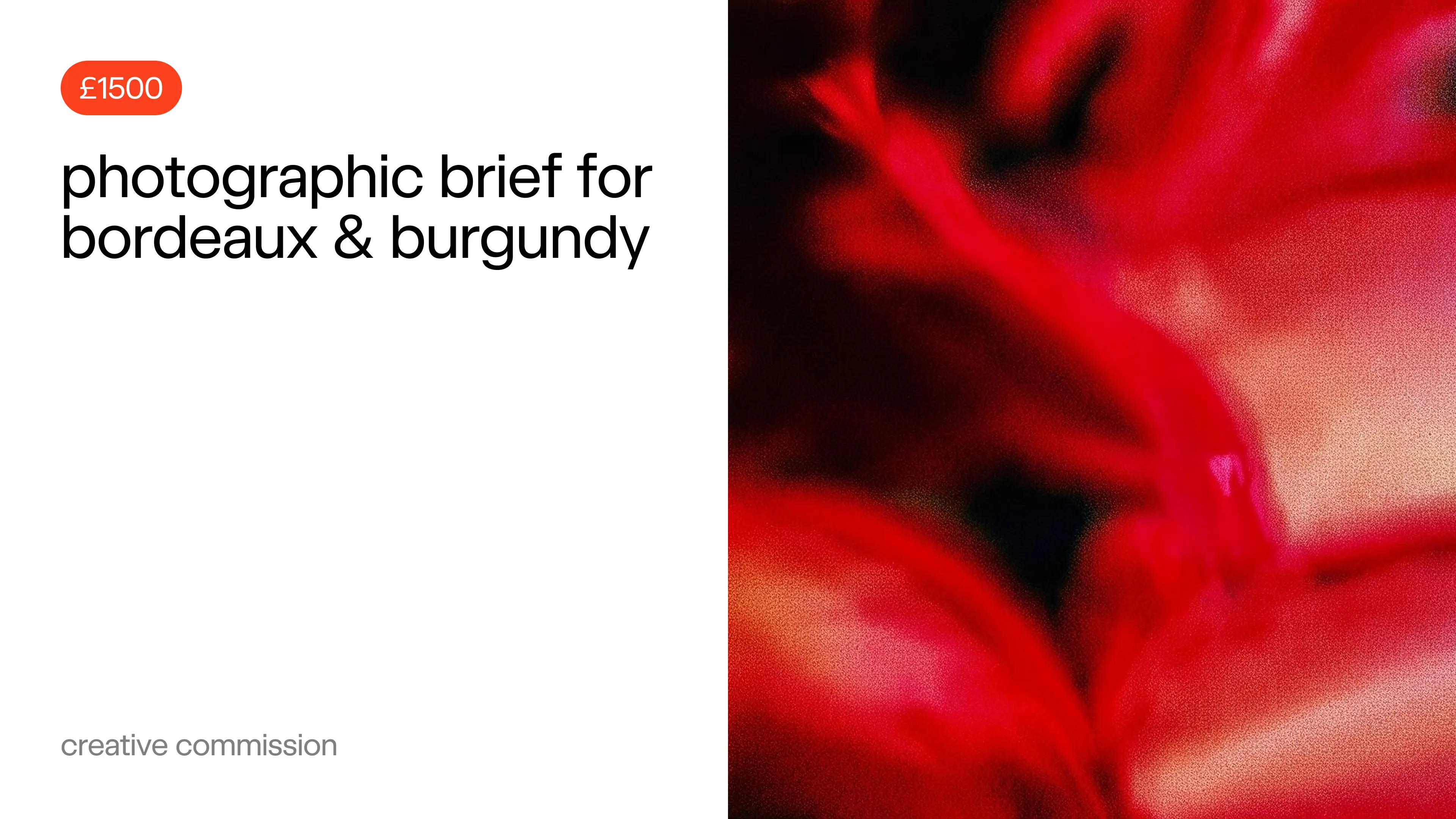 Creative commission: photographic brief for Bordeaux & Burgundy